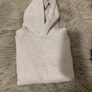 Light Gray Hoodie aritzia